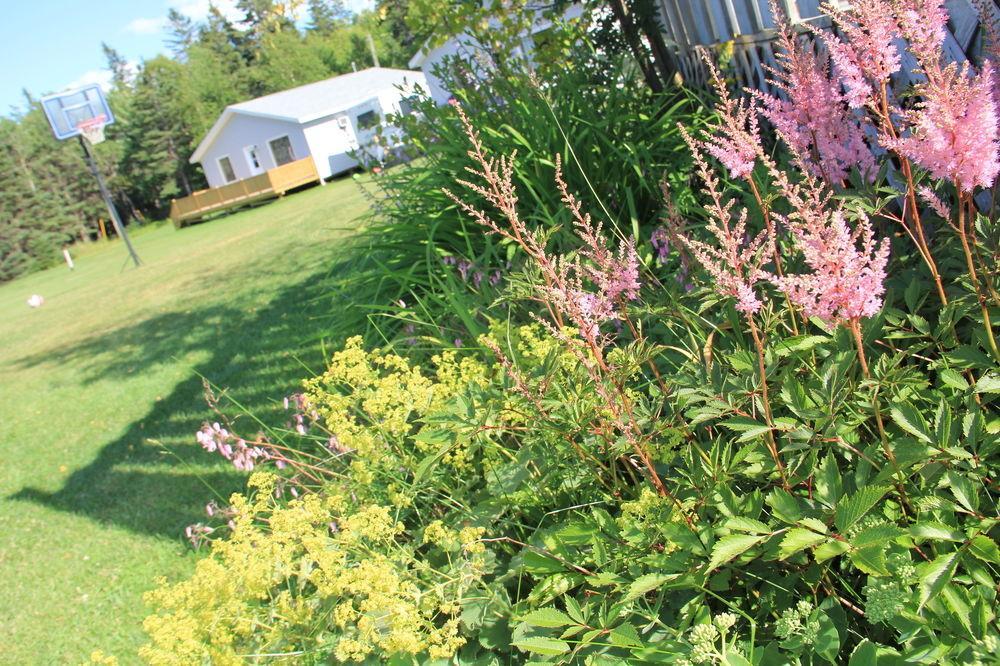 Hidden Acres Cottages Cavendish Esterno foto