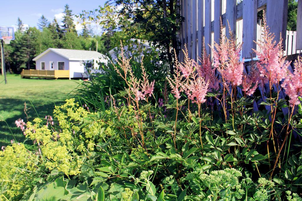 Hidden Acres Cottages Cavendish Esterno foto