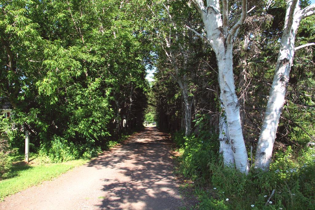 Hidden Acres Cottages Cavendish Esterno foto